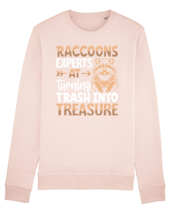 Raccoons experts at turning trash into treasure Candy Pink