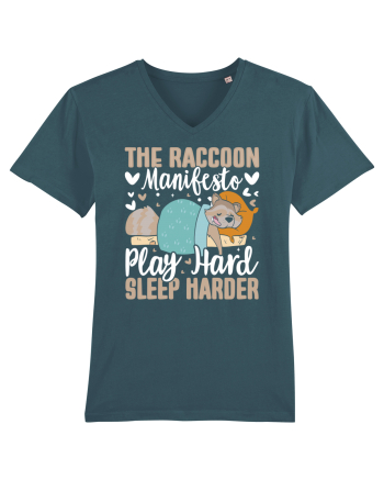 The raccoon manifesto, Play hard, Sleep harder Stargazer