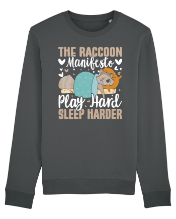 The raccoon manifesto, Play hard, Sleep harder Anthracite