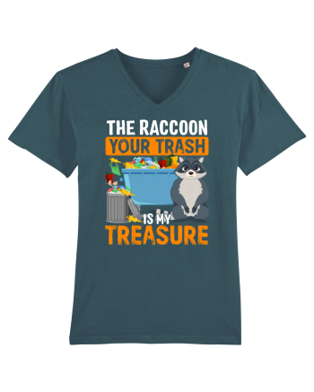 The raccoon your trash is my treasure Stargazer