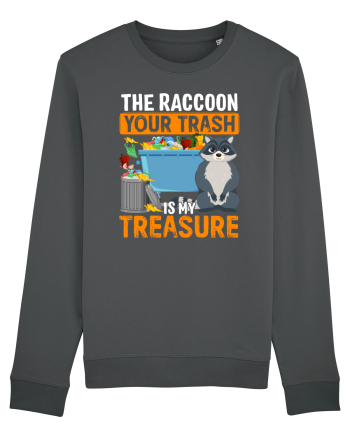 The raccoon your trash is my treasure Anthracite