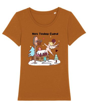 Retro Chic Valentine - Not today Cupid, go shoot some balls Roasted Orange