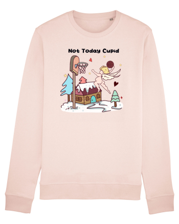 Retro Chic Valentine - Not today Cupid, go shoot some balls Candy Pink