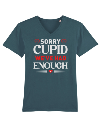 pentru îndrăgostiți - Sorry cupid we ve had enough Stargazer