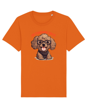 AM STANDARDE INALTE 2 - PUDEL Bright Orange