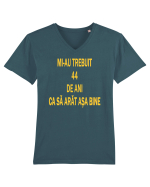 ANIVERSARE 44 DE ANI  Tricou mânecă scurtă guler V Bărbat Presenter
