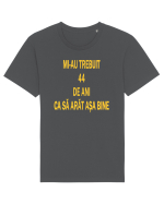 ANIVERSARE 44 DE ANI  Tricou mânecă scurtă Unisex Rocker