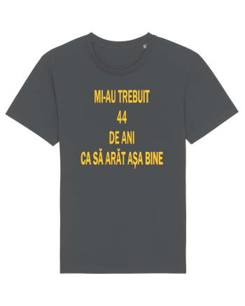 ANIVERSARE 44 DE ANI  Anthracite