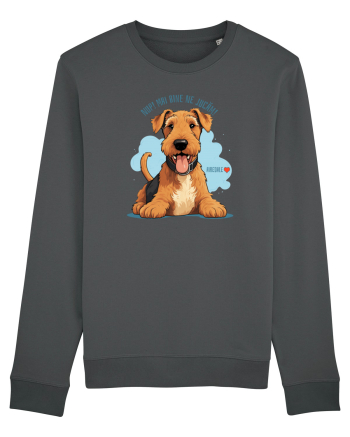 NUP! MAI BINE NE JUCAM! - AIREDALE TERRIER Anthracite