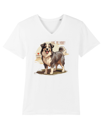 LAS` PE MINE! CIOBANESC CARPATIN White