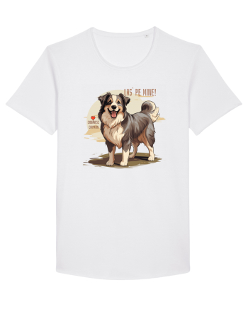LAS` PE MINE! CIOBANESC CARPATIN White