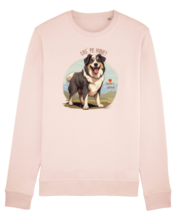 LAS` PE MINE! CIOBANESC CARPATIN 2 Candy Pink