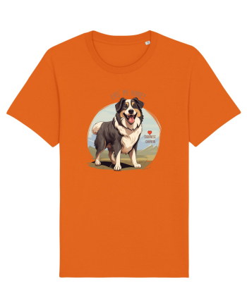 LAS` PE MINE! CIOBANESC CARPATIN 2 Bright Orange