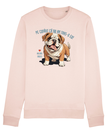 PE CUVANT CA N-AM TRAS-O EU! - BULLDOG ENGLEZ Candy Pink