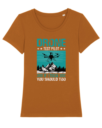 pt pasionații de drone - Drone test pilot Roasted Orange