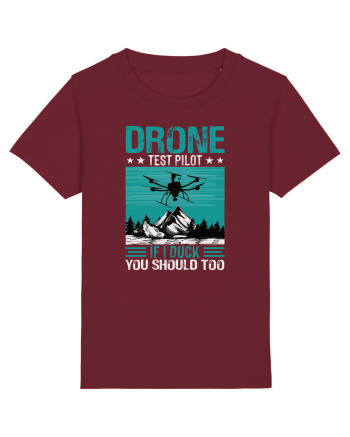 pt pasionații de drone - Drone test pilot Burgundy
