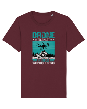pt pasionații de drone - Drone test pilot Burgundy