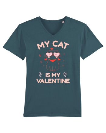 My Cat Is My Valentine Stargazer