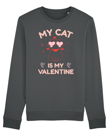 My Cat Is My Valentine Anthracite