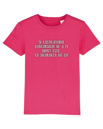 CÂȘTIGĂTORUL CONCURSULUI Raspberry