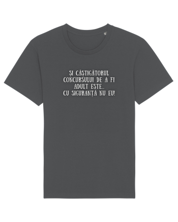 CÂȘTIGĂTORUL CONCURSULUI Anthracite