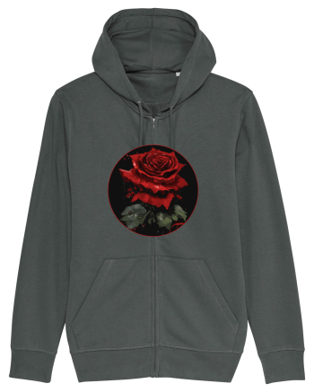 Trandafir rose vintage Anthracite