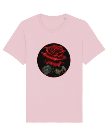Trandafir rose vintage Cotton Pink