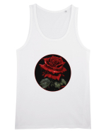Trandafir rose vintage Maiou Bărbat Runs