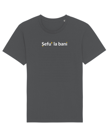 Șefu' la bani Anthracite