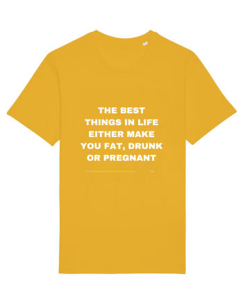 The best things in life either make you fat, drunk or pregnant Spectra Yellow