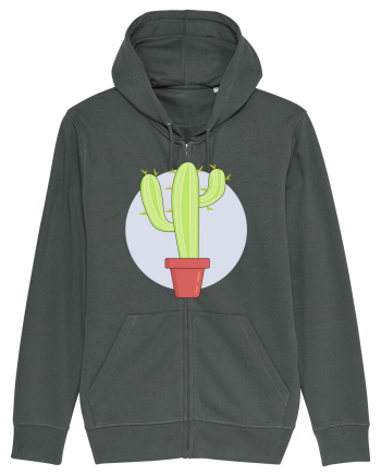 Cactus Anthracite
