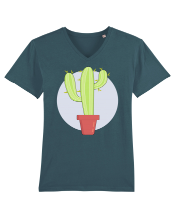 Cactus Stargazer