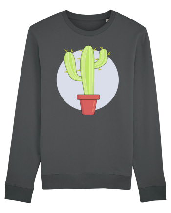 Cactus Anthracite