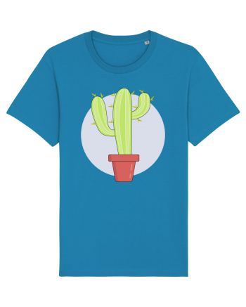 Cactus Azur