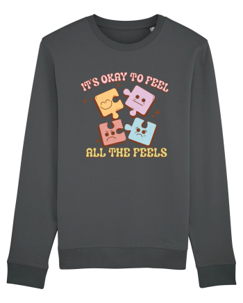 IT'S OKAY TO FEEL ALL THE FEELS Anthracite