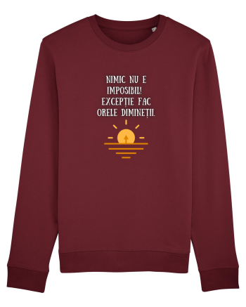 NIMIC NU E IMPOSIBIL! Burgundy