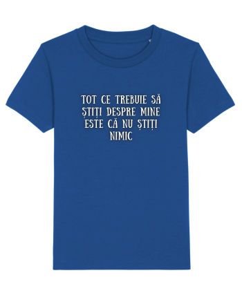 TOT CE TREBUIE SĂ ȘTIȚI Majorelle Blue