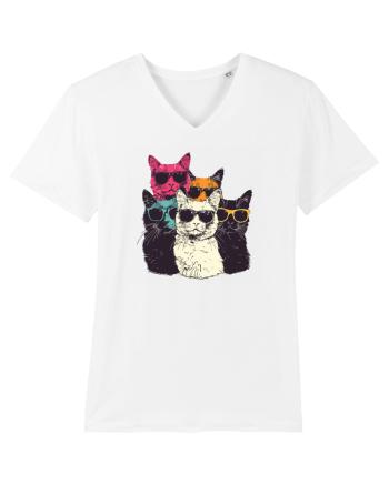Pisici cool White