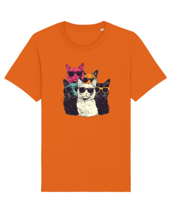 Pisici cool Bright Orange