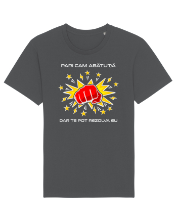 Abătut / ă v2 Anthracite