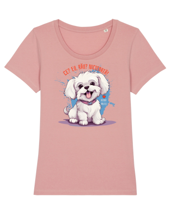 CE? EU, RAU? NICIODATA! - BICHON MALTEZ Canyon Pink