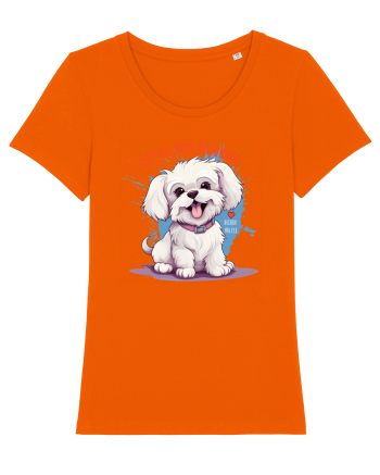 CE? EU, RAU? NICIODATA! - BICHON MALTEZ Bright Orange