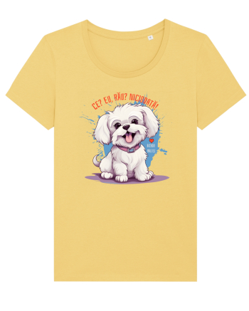 CE? EU, RAU? NICIODATA! - BICHON MALTEZ Jojoba