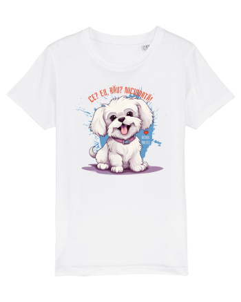 CE? EU, RAU? NICIODATA! - BICHON MALTEZ White