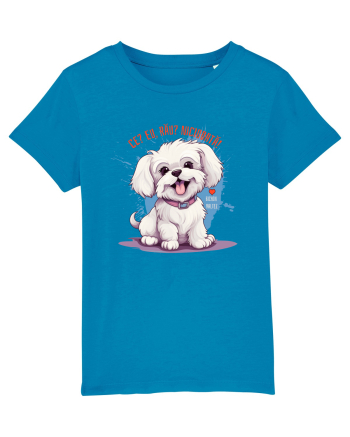 CE? EU, RAU? NICIODATA! - BICHON MALTEZ Azur