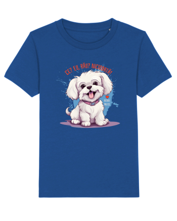 CE? EU, RAU? NICIODATA! - BICHON MALTEZ Majorelle Blue