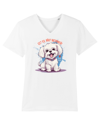 CE? EU, RAU? NICIODATA! - BICHON MALTEZ White