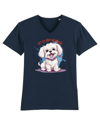 CE? EU, RAU? NICIODATA! - BICHON MALTEZ French Navy