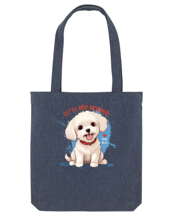 CE? EU, RAU? NICIODATA! - BICHON MALTEZ 2 Midnight Blue