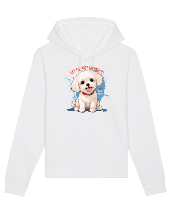 CE? EU, RAU? NICIODATA! - BICHON MALTEZ 2 White